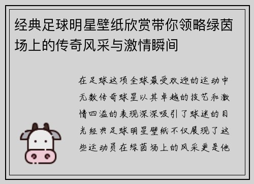 经典足球明星壁纸欣赏带你领略绿茵场上的传奇风采与激情瞬间