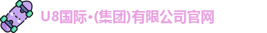 U8国际